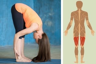 Imagen ilustrativa del artículo Kinesioterapia: qué es, indicaciones y ejemplos de ejercicios