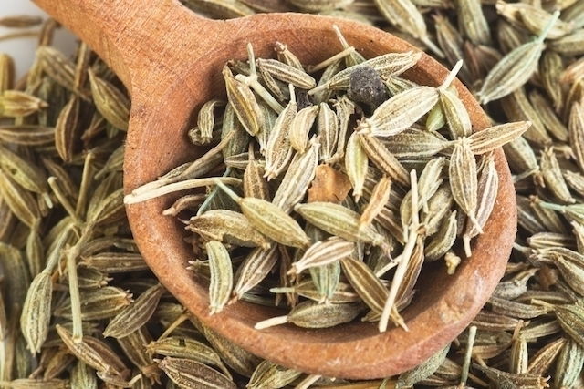 Fennel 14 Health Benefits How to Use Contraindications Tua Sa de