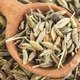 Fennel: What It’s Good For, Benefits & How to Prepare