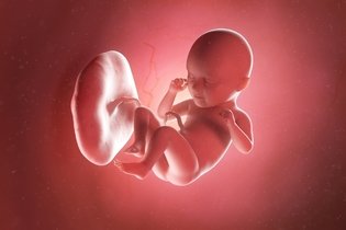 Imagen ilustrativa del artículo 35 semanas de embarazo: desarrollo del bebé y cambios en la mujer