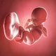35 Semanas de embarazo: desarrollo del bebé y cambios en la mujer