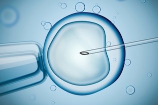 Imagen ilustrativa del artículo Fecundación in vitro: qué es, indicaciones y cómo se realiza