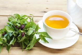 Imagem ilustrativa do artigo Chá de manjericão: 11 benefícios e como fazer