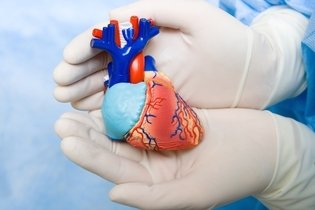 Sopro no coração: o que é, sintomas, causas e tratamento