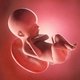 24 Semanas de embarazo: desarrollo del bebé y cambios en la mujer