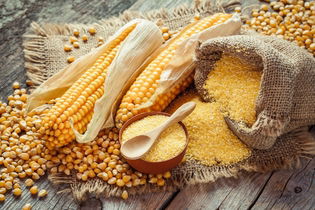 Imagem ilustrativa do artigo 9 benefícios do milho para a saúde (com receitas saudáveis)