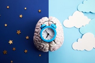 Imagem ilustrativa do artigo Ciclo circadiano: o que é, fisiologia e o que pode afetar