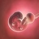 6 Semanas de embarazo: desarrollo del bebé y cambios en la mujer