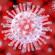  HPV: Symptoms, Transmission & Treatment