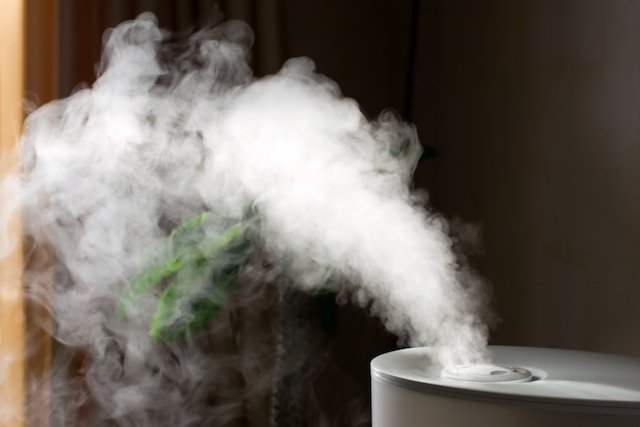 5 formas caseiras de umidificar o ar em casa