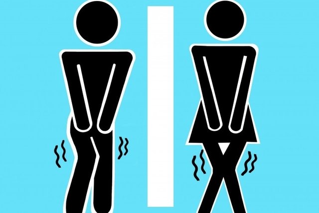 Segurar o xixi pode causar infecção e incontinência urinária