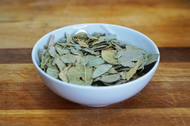 Boldo Tea 11 Health Benefits And How To Take It Tua Saúde 8257