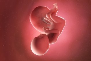 Desenvolvimento do bebê - 39 semanas de gestação