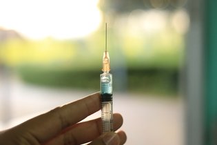 Imagem ilustrativa do artigo Raiva humana: o que é, sintomas, vacina e tratamento