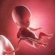 14 Semanas de embarazo: desarrollo del bebé y cambios en la mujer