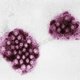 Norovirus: qué es, síntomas y tratamiento