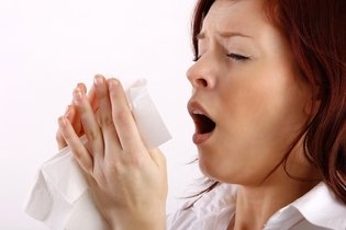 Imagen ilustrativa del artículo Cómo dejar de estornudar: 6 estrategias para lograrlo