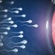 Espermatogênese: o que é, etapas e o que afeta o processo