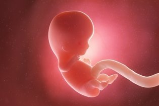 Imagen ilustrativa del artículo 9 semanas de embarazo: desarrollo del bebé y cambios en la mujer