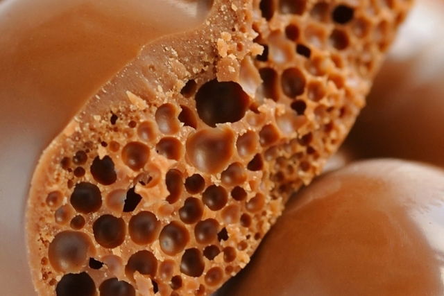 Trypophobia