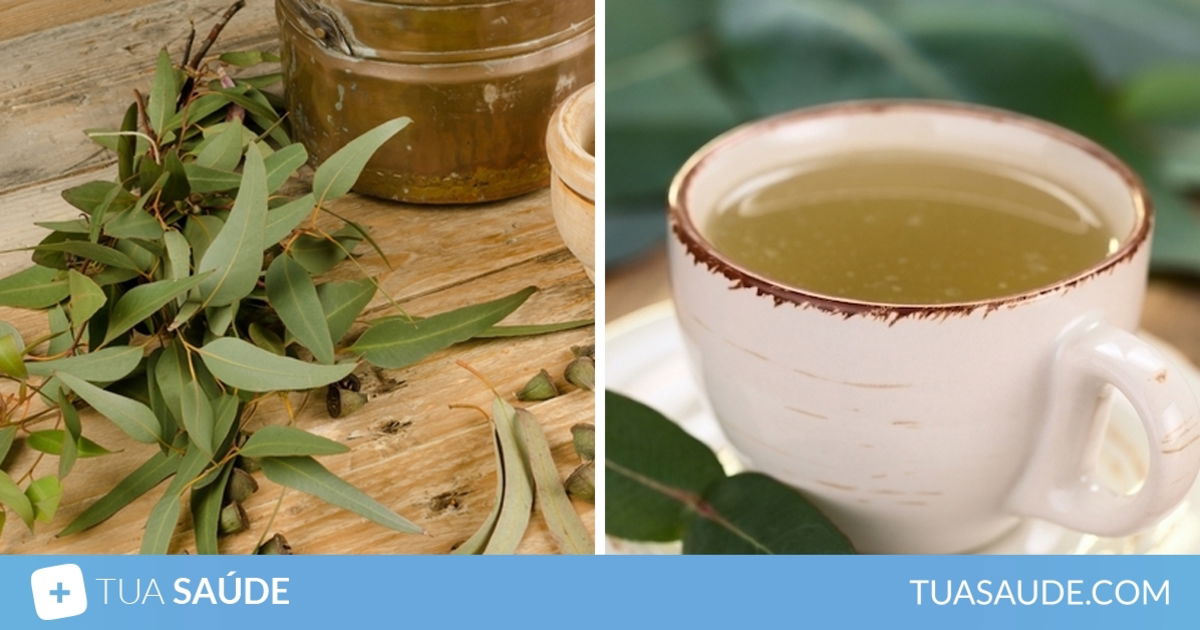Chá De Eucalipto Para Que Serve E Como Preparar Tua Saúde 8767