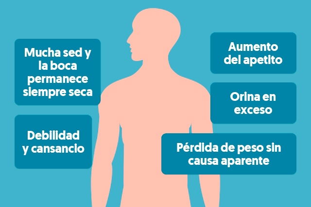 Metabolismo rapido sintomas