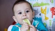 Alimentação do bebê: 0 aos 12 meses