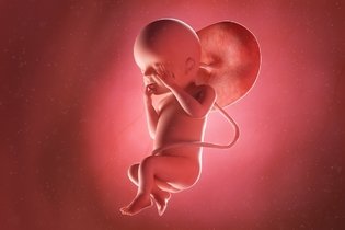 Imagen ilustrativa del artículo 23 semanas de embarazo: desarrollo del bebé y cambios en la mujer