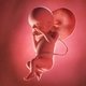 23 semanas de embarazo: desarrollo del bebé y cambios en la mujer