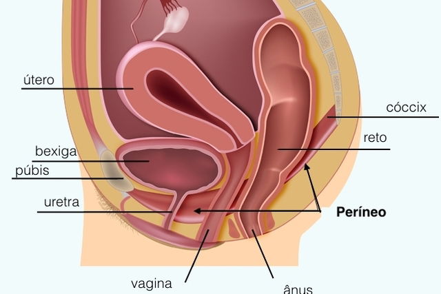 Como é feita a Cirurgia de Períneo - Tua Saúde