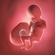 31 Semanas de embarazo: desarrollo del bebé y cambios en la mujer