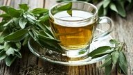 13 beneficios del té verde, propiedades (y cómo consumir)