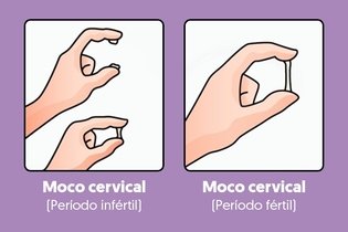 Moco cervical: qué es y cómo varía a lo largo del ciclo