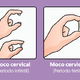 Moco cervical: qué es y cómo varía a lo largo del ciclo