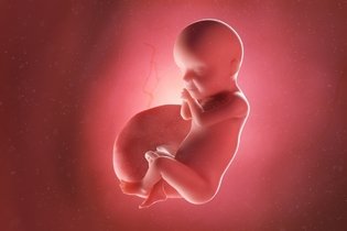 Imagen ilustrativa del artículo 30 semanas de embarazo: desarrollo del bebé y cambios en la mujer