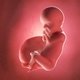 30 Semanas de embarazo: desarrollo del bebé y cambios en la mujer