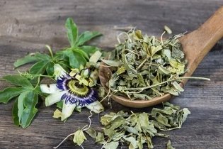 Imagen ilustrativa del artículo Pasiflora: para qué sirve, cómo preparar el té y efectos secundarios