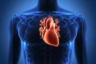 Imagem ilustrativa do artigo Tamponamento cardíaco: o que é, sintomas, causas e tratamento