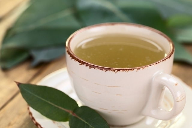 6 Recetas de té de guaco para aliviar la tos