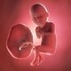 33 Semanas de embarazo: desarrollo del bebé y cambios en la mujer