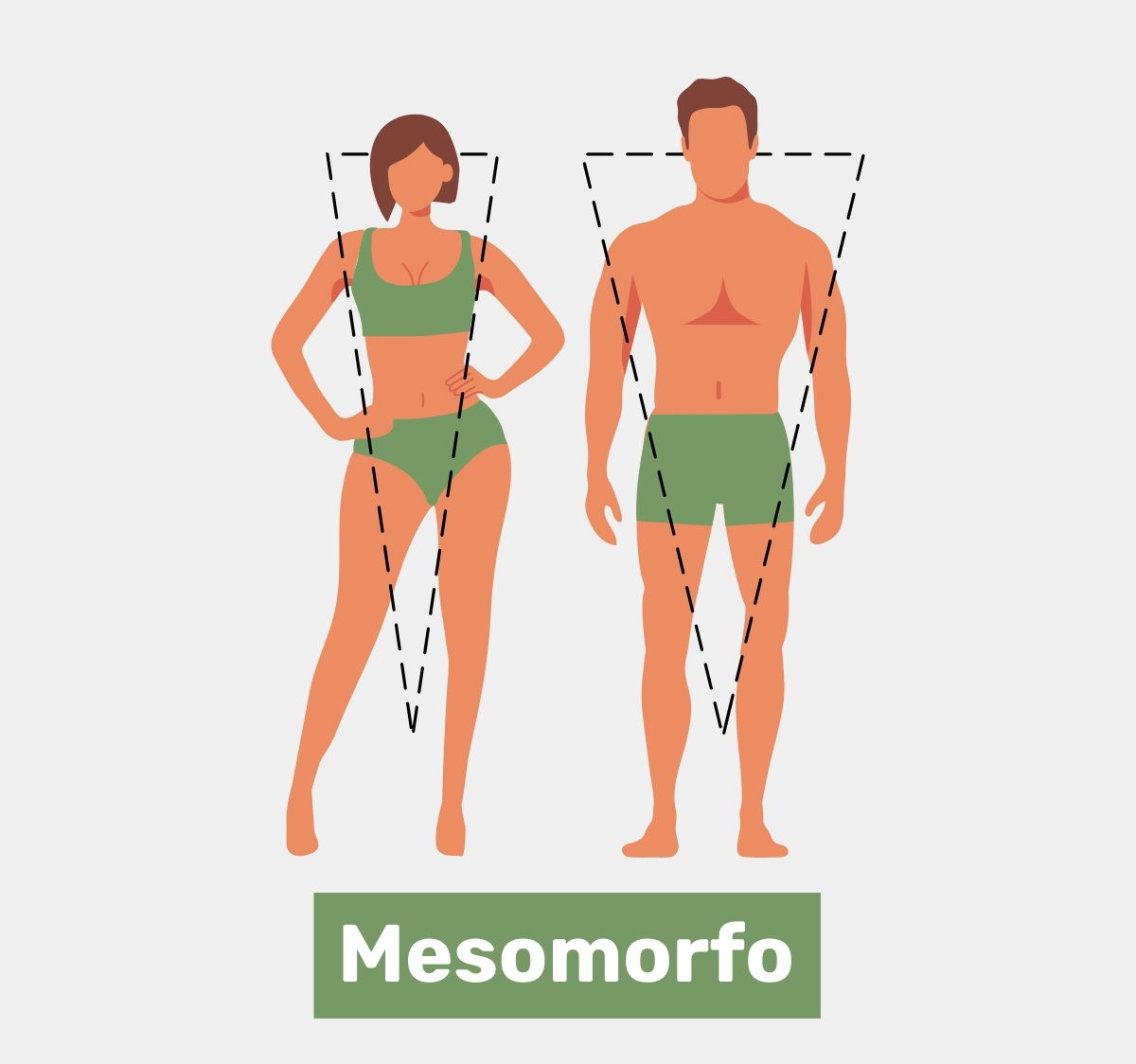 Mesomorfia - Dicio, Dicionário Online de Português