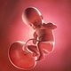 21 Semanas de embarazo: desarrollo del bebé y cambios en la mujer