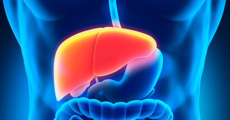 11 sintomas que podem indicar problemas no fígado Tua Saúde