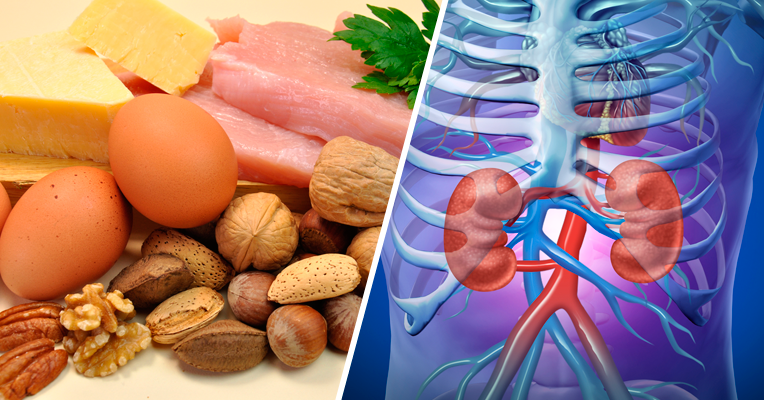 Consumo Excessivo De Proteínas Faz Mal E Pode Prejudicar Os Rins Tua Saúde 4716