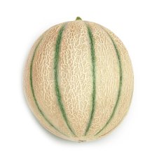 melón cantalupo