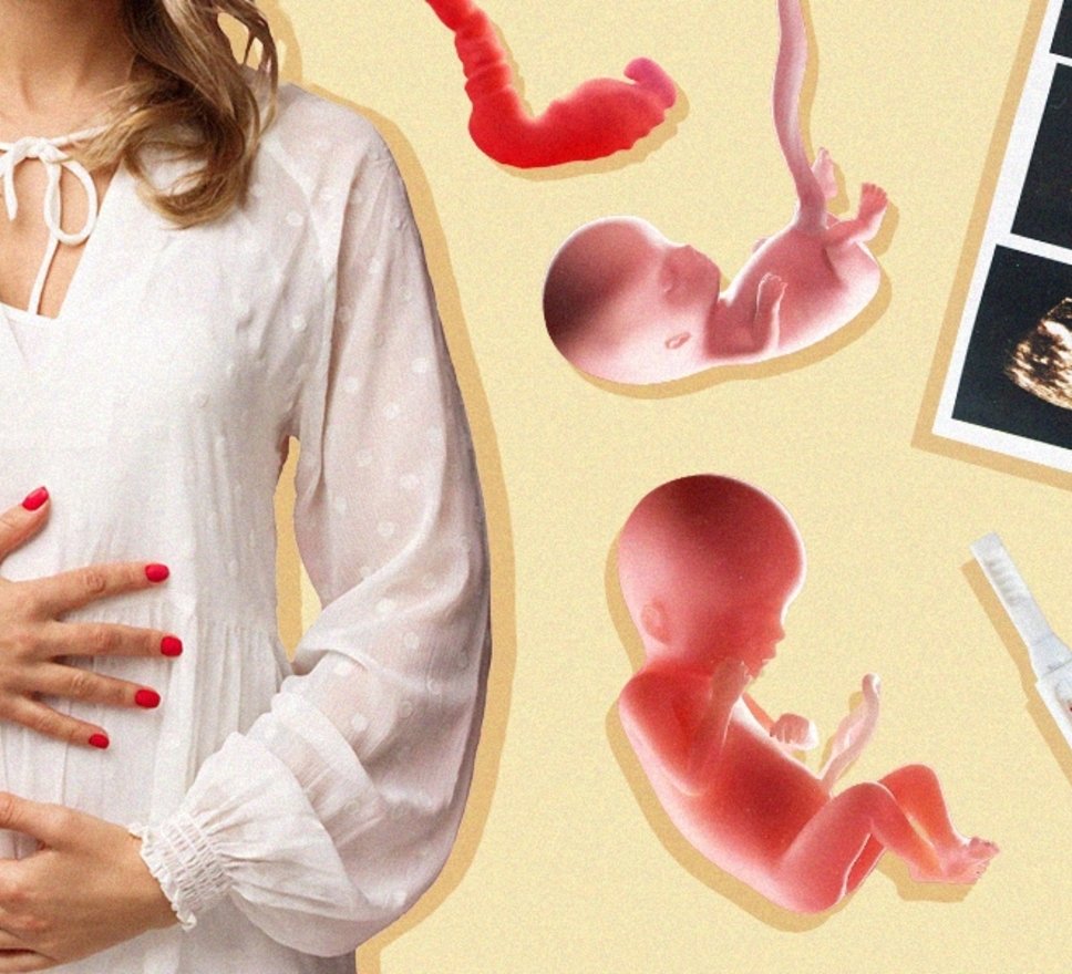 Image illustrative de l'article Semaines de grossesse