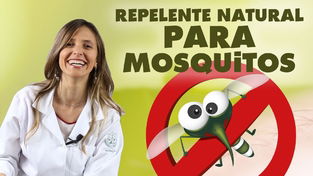 Repelente para Zika - como acabar com Aedes aegypti comendo melhor | #Zika