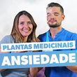 Calmantes naturais: melhores plantas para Ansiedade