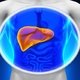 10 sintomas de hepatite (e como se pega)