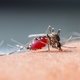 Principales complicaciones del Dengue